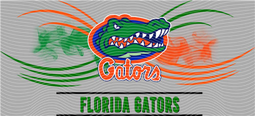 16oz Latest Bestseller-C 5984